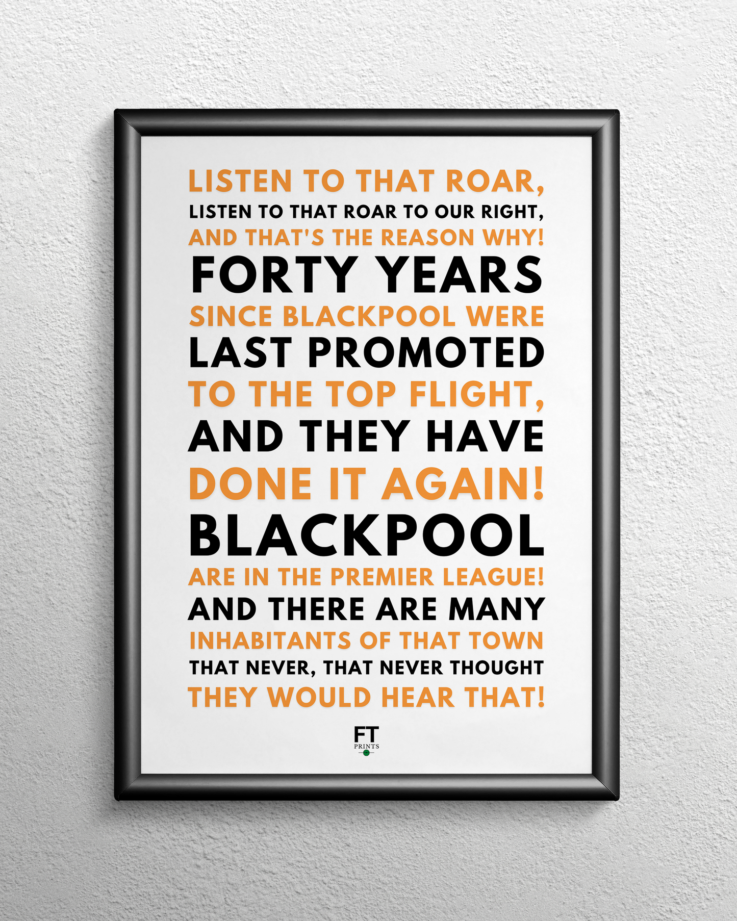 Blackpool are in the Premier League!