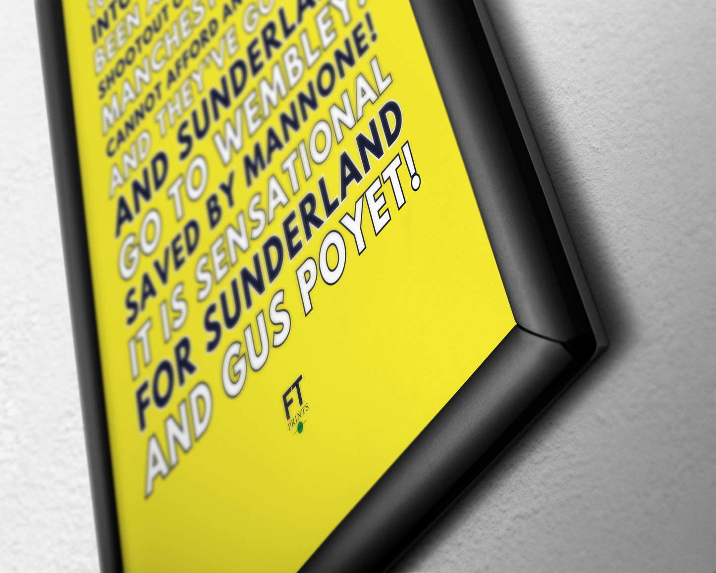 Vito Mannone - Sunderland go to Wembley!