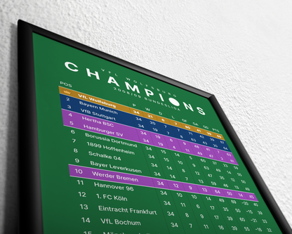 VfL Wolfsburg: Champions! 2008/09 Bundesliga table